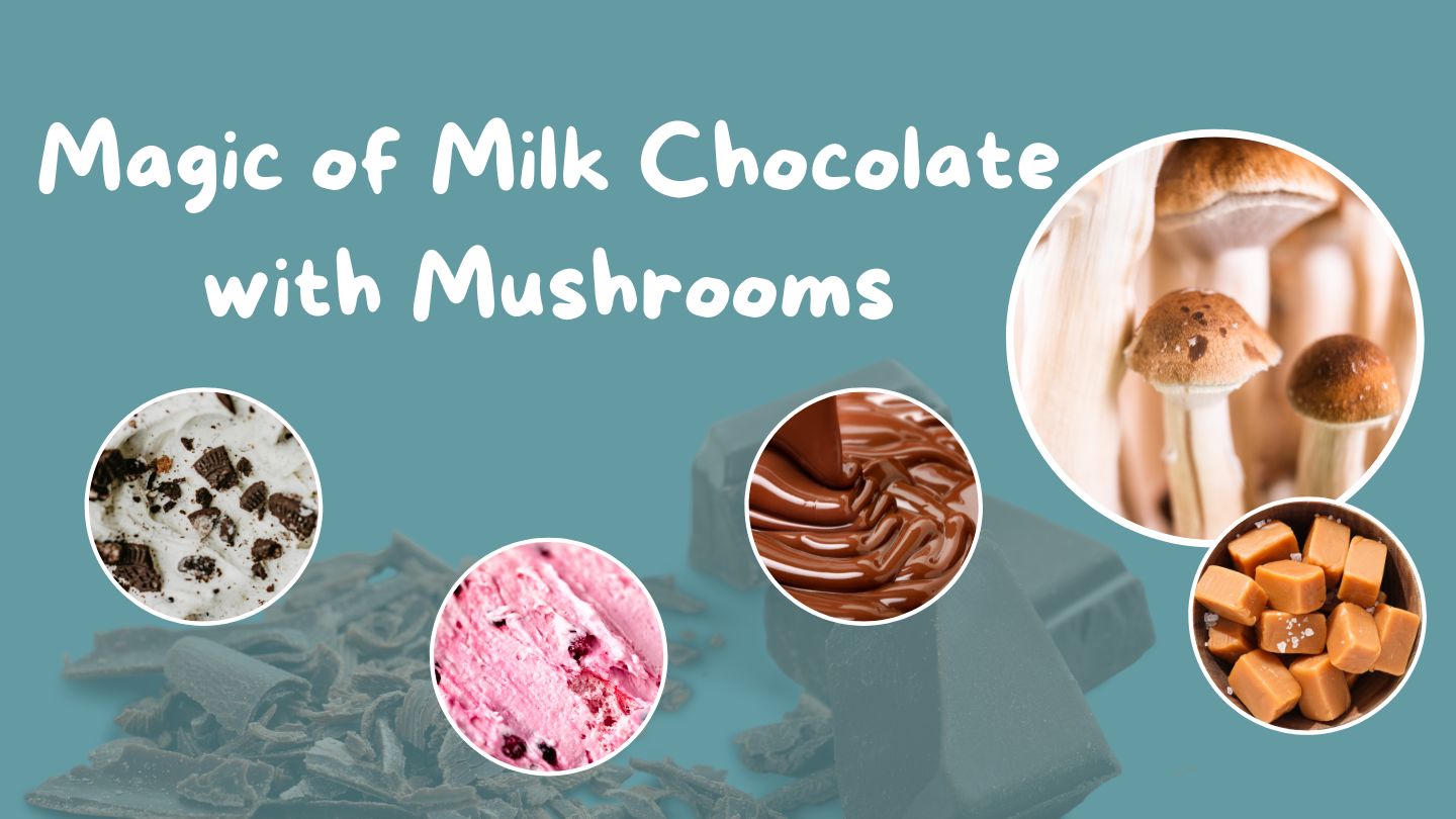 Experience the Magic of Milk Chocolate with Mushrooms