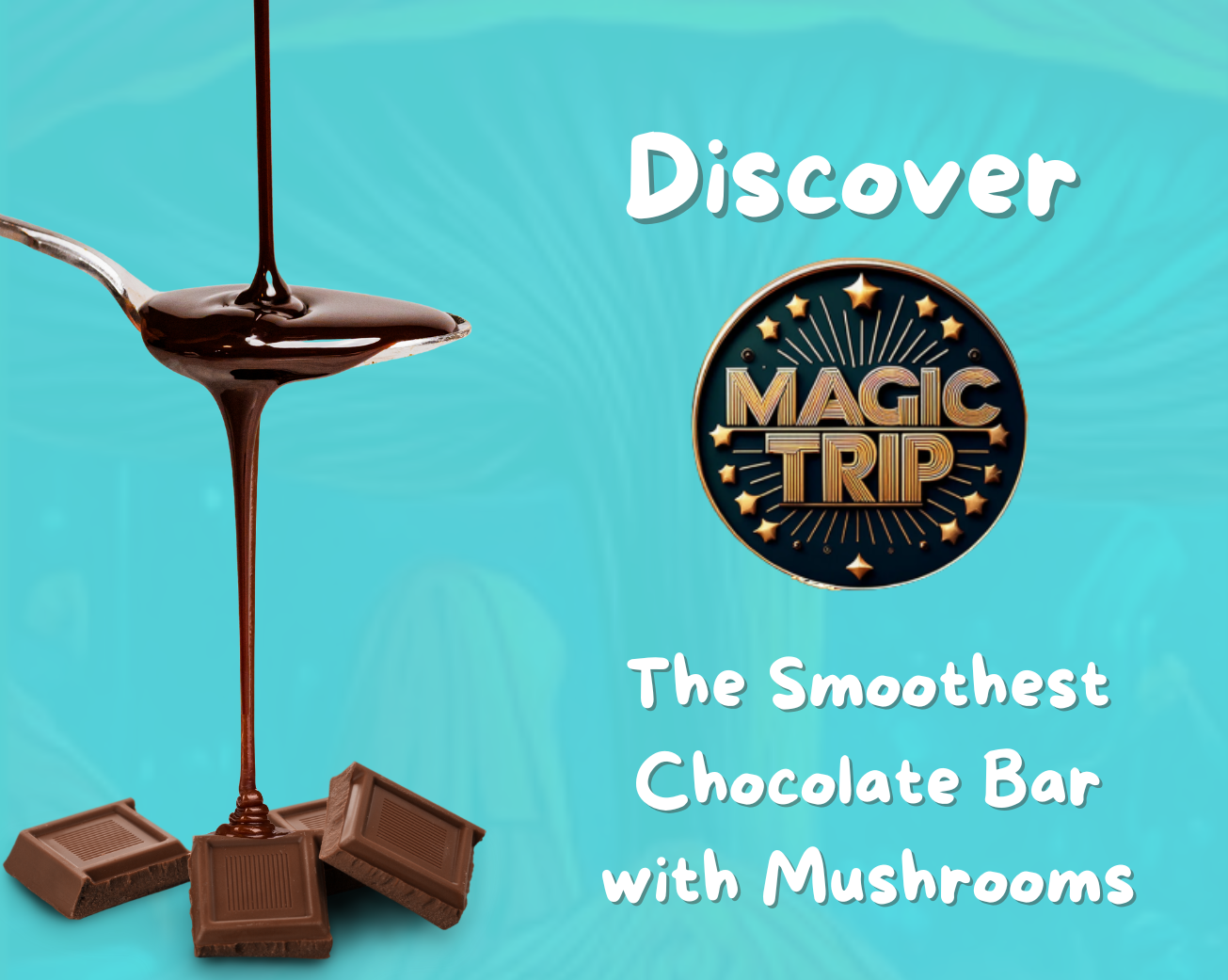 The Smoothest Chocolate Bar with Mushrooms – Discover Magic Trip