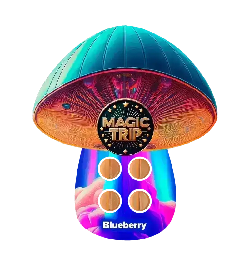 Magic Trip Blueberry