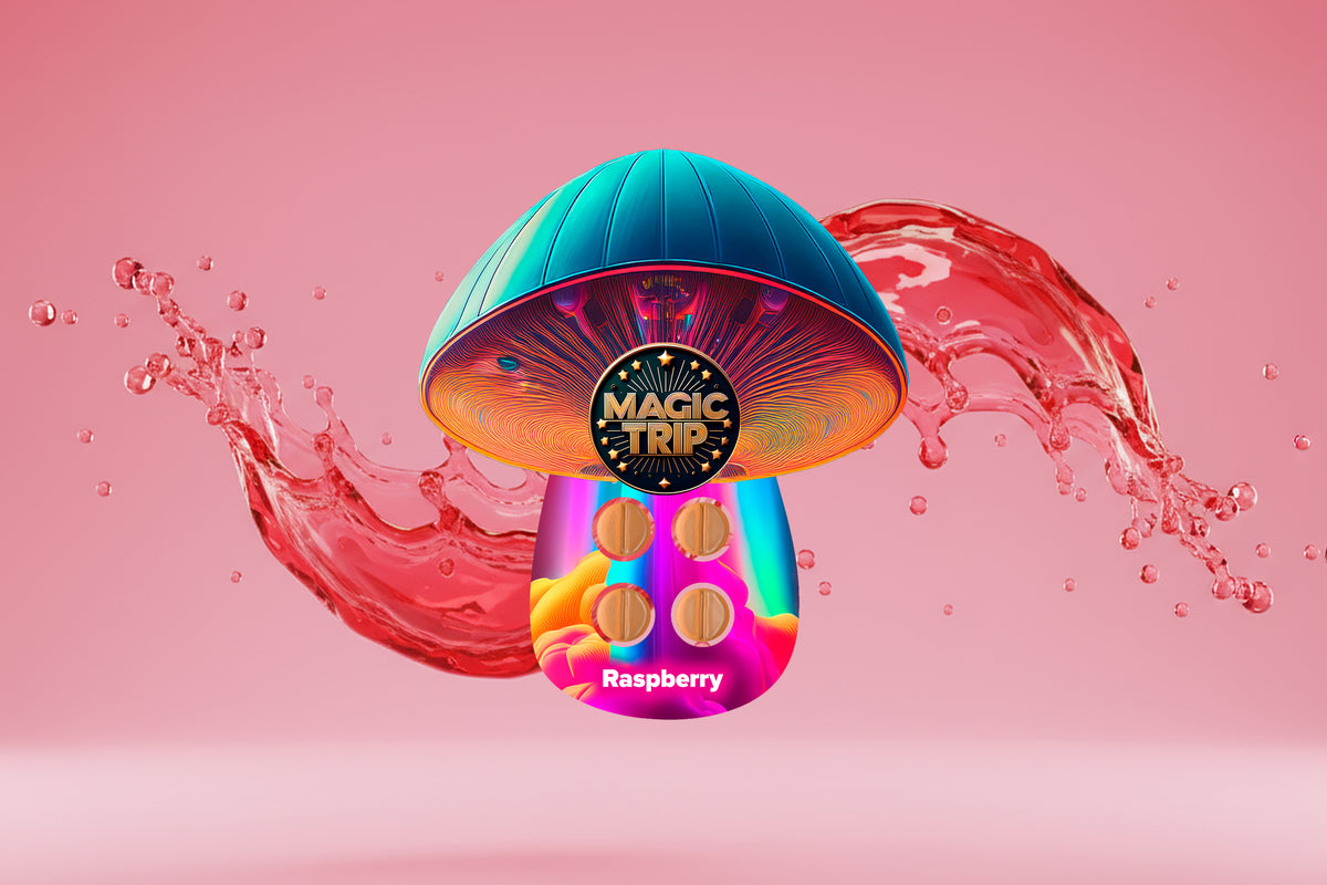 Lil Raspberry Trip Magic Trip | Functional Mushroom Chocolates & Gummies